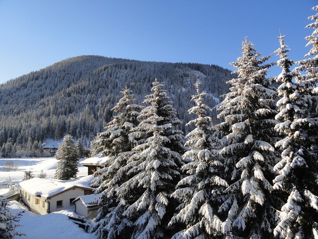 Studio Riedwiese Davos Habitación foto
